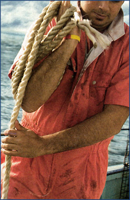 夏用の薄手素材のつなぎ服に最適な業種